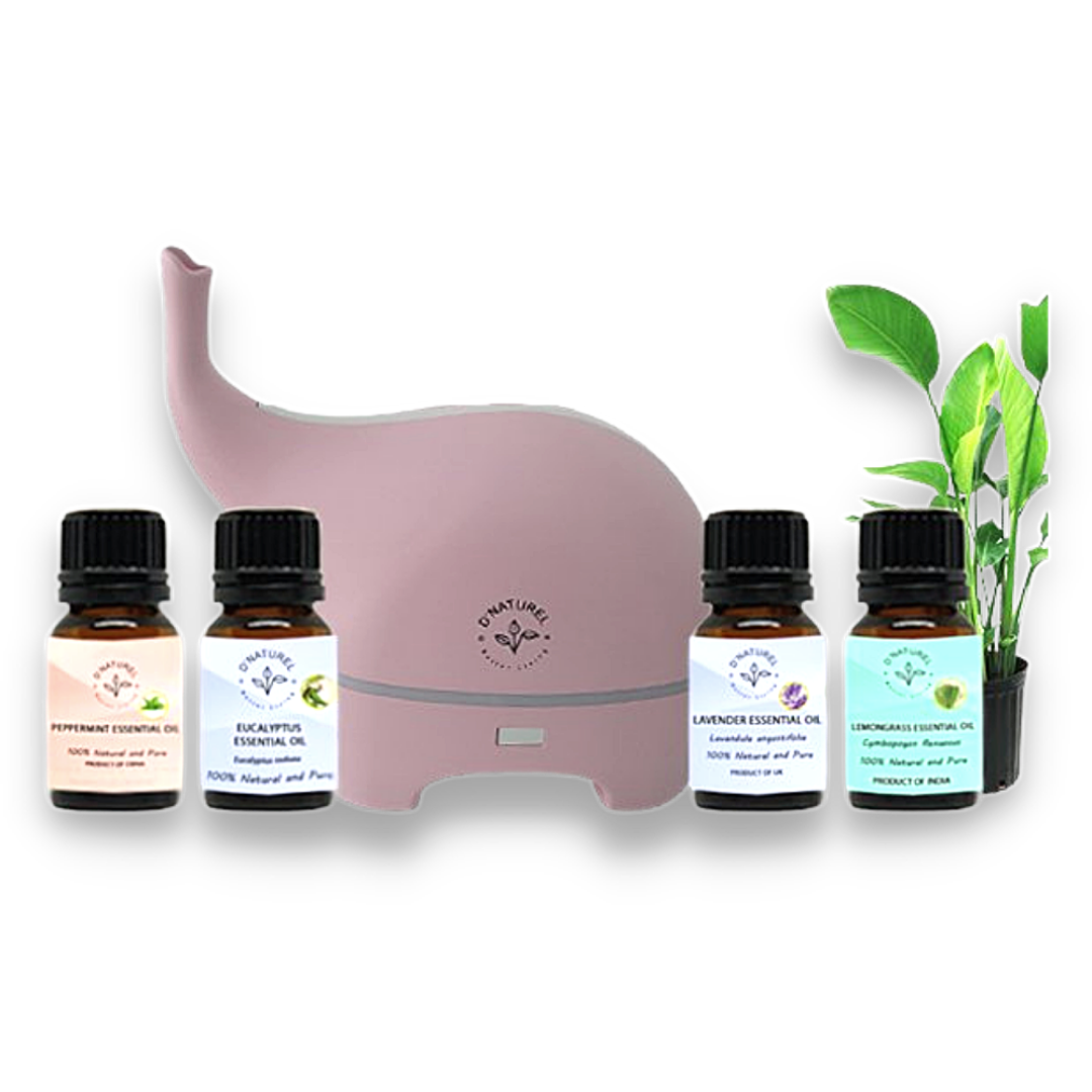 Diffuser Set Combo + Essential Oils | D'Naturel - MyGalore